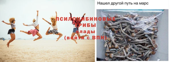 jwh Ельня